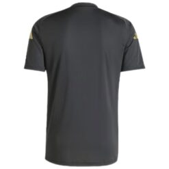 Alternative view of Argentina Pre-match Jersey Copa America 2024