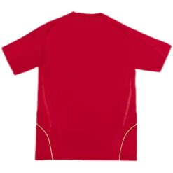 Alternative view of Retro Spain Home Jersey 2008