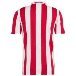 Alternative view of Olympiacos 100th anniversary Centenary Jersey 2025