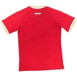 Alternative view of Panama Home Jersey 2025
