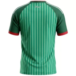 Alternative view of Algeria Away Jersey World Cup 2026