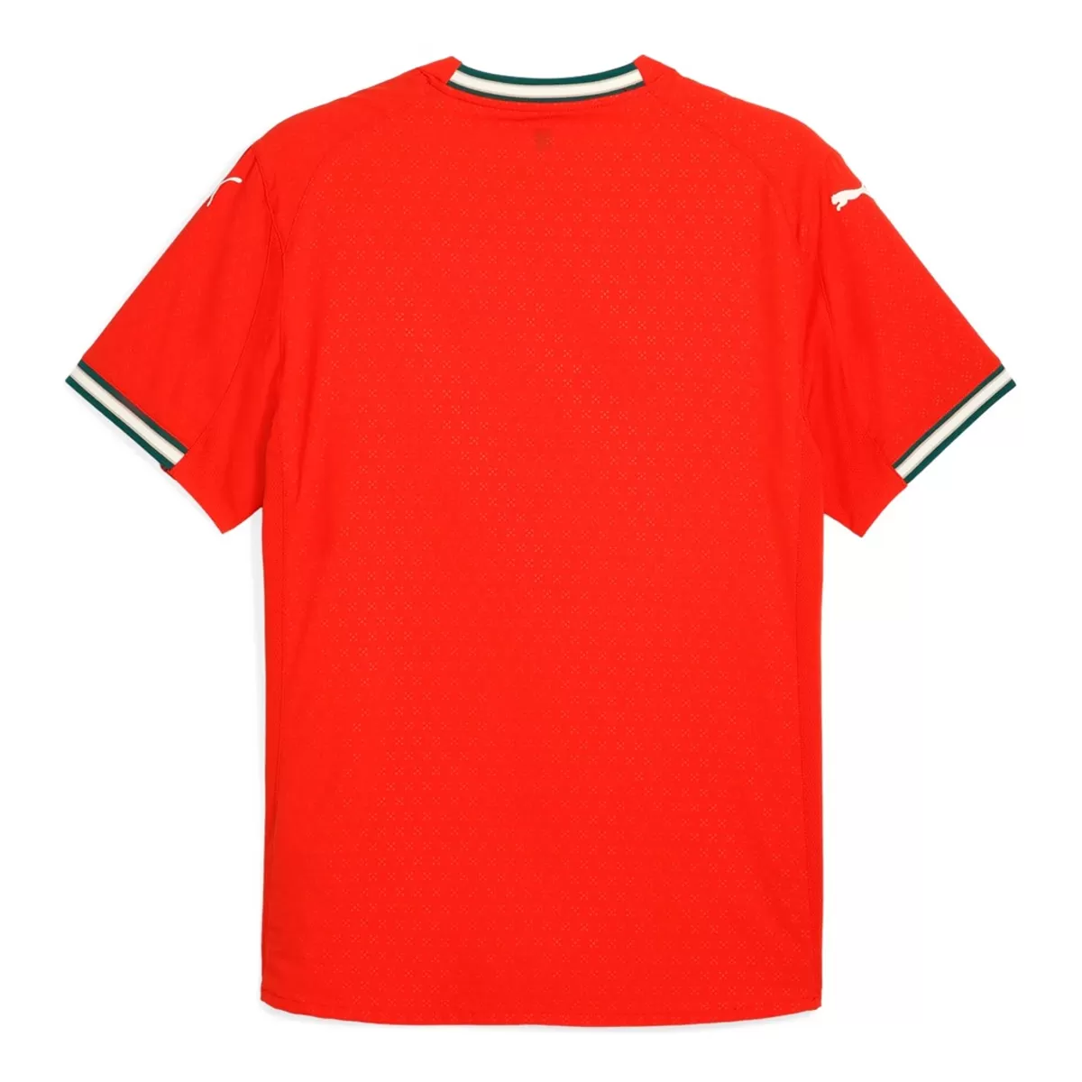 Portugal Home Match Jersey Player Version 2025 - Image 2