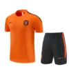 Netherlands Tiro 2026 Competition Training(Top+shorts) Orange | KK Jersey