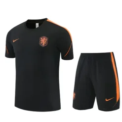 Netherlands Tiro 2026 Competition Training(Top+shorts) Orange