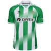 Real Betis Home Jersey 2026/27 Real Betis Home Jersey 2026/27