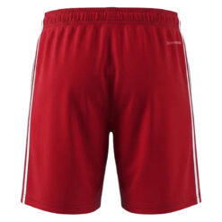 Liverpool Away Football Shorts 2026/27